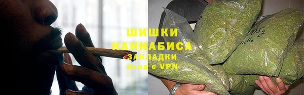 ПСИЛОЦИБИНОВЫЕ ГРИБЫ Алексеевка