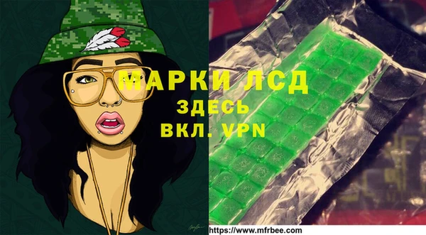 прущие грибы Новодвинск