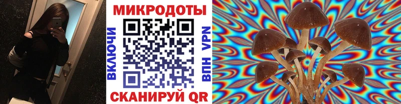 Галлюциногенные грибы мухоморы  Элиста 