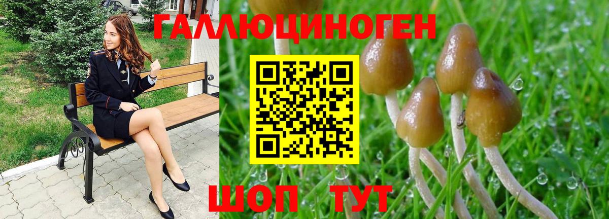Элиста  Псилоцибиновые грибы мухоморы  Галлюциногенные грибы Psilocybe  Вход с VPN 