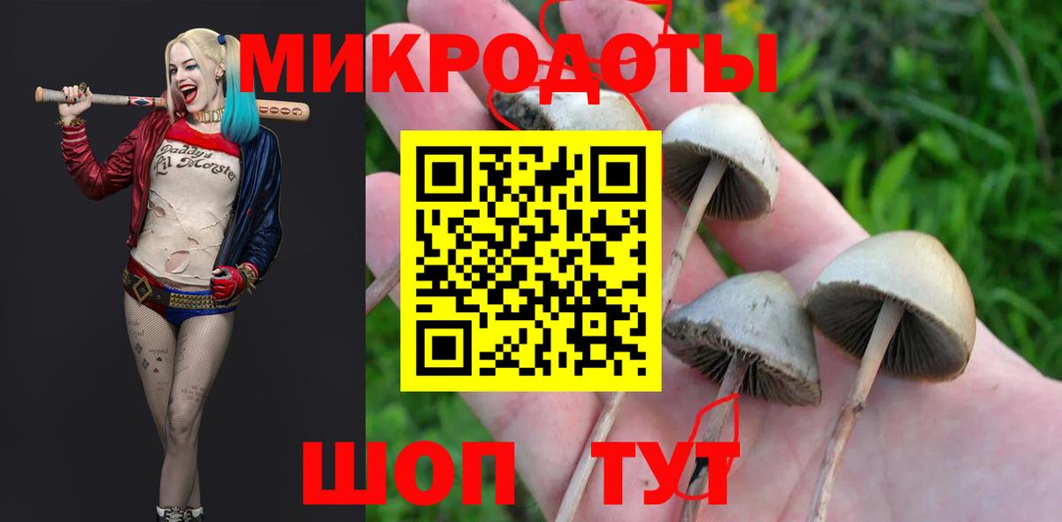 Галлюциногенные грибы ЛСД Элиста